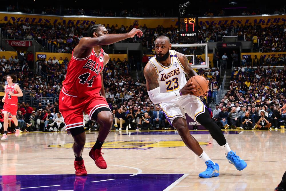 顽强精神的 顽强精神的